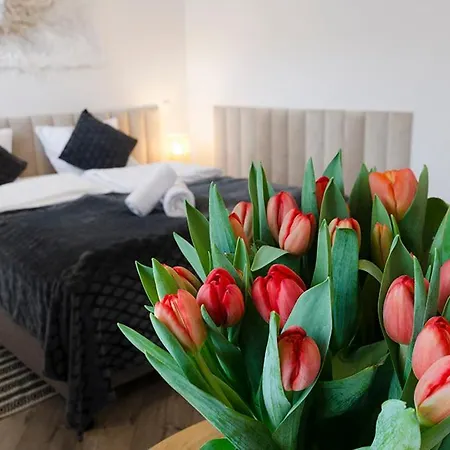Guest house Karkonoskie Widoki *