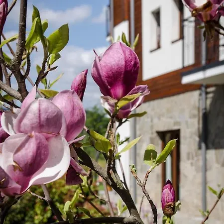 Karkonoskie Widoki Konukevi Karpacz