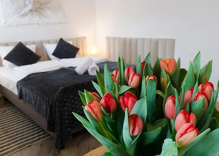 Guest house Karkonoskie Widoki 3*