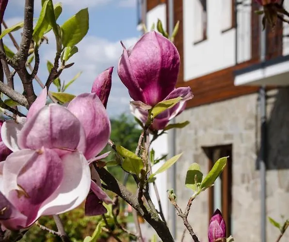 Karkonoskie Widoki Gasthuis Karpacz